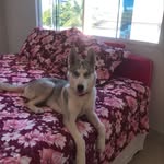 ❤️ Dora ❤️ - @dora_bluemoon - Instagram