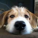 Dora Boggs - @doraboggs2 - Instagram