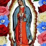 Dora Bolaños Caraballo - @bolanoscaraballo - Instagram