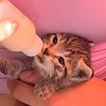 Dora Moingt - @dorabond_minoush - Instagram