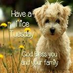 Dora Booker - Facebook