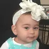 Dora Botelho - @dorabotelho2 - TikTok