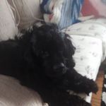 Dora Bowers - @dora.bowers.98 - Instagram
