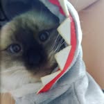 Dora - @dora__box - Instagram
