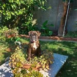 Dora - @doraboxer21 - Instagram
