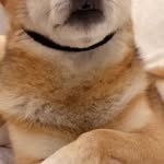 Dora Boyle - @dora.boyle.10 - Instagram