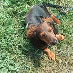 Dora Bradley Goodwin - @dora.b.goodwin - Instagram