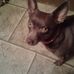 Dora Bradshaw - Facebook