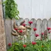 Dora Ann Brandt - @dora.ann.brandt - TikTok