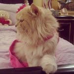 Dora Brandt - @billermyth - Instagram
