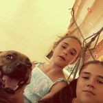 Braun Dóra - @braun_dora - Instagram