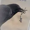 dorabrennan - @dorabrennan - TikTok