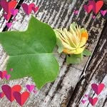 Dorothy Brewster - @dorothy.brewster.940 - Instagram