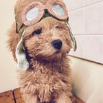 @lady_dora_bridgestone - Instagram