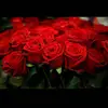 dorabriggs631 - @dorabriggs631 - TikTok