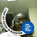 Dora Brittingham - Facebook