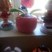 Dora Brock - Facebook