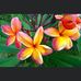 Dora Brown - Facebook
