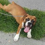 Dora Brown - @dora____brown - Instagram