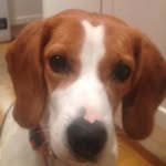 Dora Bruce - @dora12920 - Instagram