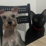 @dorabrucew - Instagram