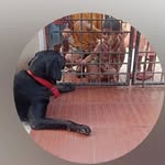 gowthami dora bruse - @gowthami_dora_bruce - Instagram