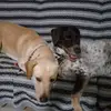 user3191455278992 - @dora.bruce - TikTok