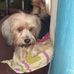 Dora Bruno - Facebook