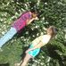 Dora Buchanan - Facebook