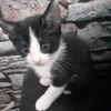 Dora Buck - @dora.the.explorer2020 - TikTok