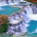 Dora Buckner - Facebook