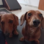 Dora Bueno - @dorablourenson - Instagram