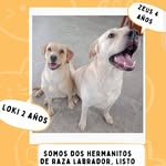 Dora Burgos - @burgosdora71 - Instagram