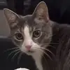 Dora Burton - @dora.burton4 - TikTok