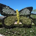 Dora Burton - @dor8124 - Instagram