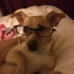 Dora Bush - Facebook