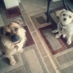 Dora   Butler - @dlbutler520 - Instagram
