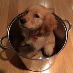 @dorabutts_kitchen - Instagram