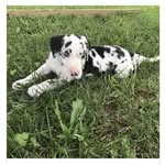 Ella - @ellafundorabyrne - Instagram