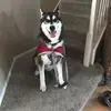 Dora Caballero - @doracaballero0 - TikTok