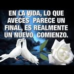 Dora Cabana - @dora.cabana.5623 - Instagram