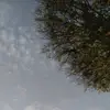 Dora Cabanillas - @dora.cabanillas0 - TikTok
