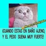 Dora Caceres - @dora.caceres.9889 - Instagram