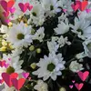 Dora Caceres - @dora.caceres75 - TikTok