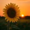 Dora Caceres - @dora.caceres55 - TikTok