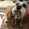 Dora Cadena - @dora_cadena - TikTok