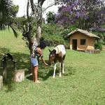 Dora Caetano Caetano - @doracaetanocaetano - Instagram