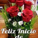 Dora Caicedo - @doracaicedo - Instagram