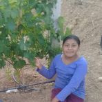 Dora Calderon - Facebook