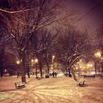 Dora Callahan - @runcockco - Instagram